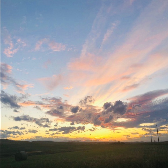 Meet your Posher, Shani - Picture 1 of 2